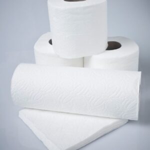 Soft Tissue Paper/Toilet Roll
